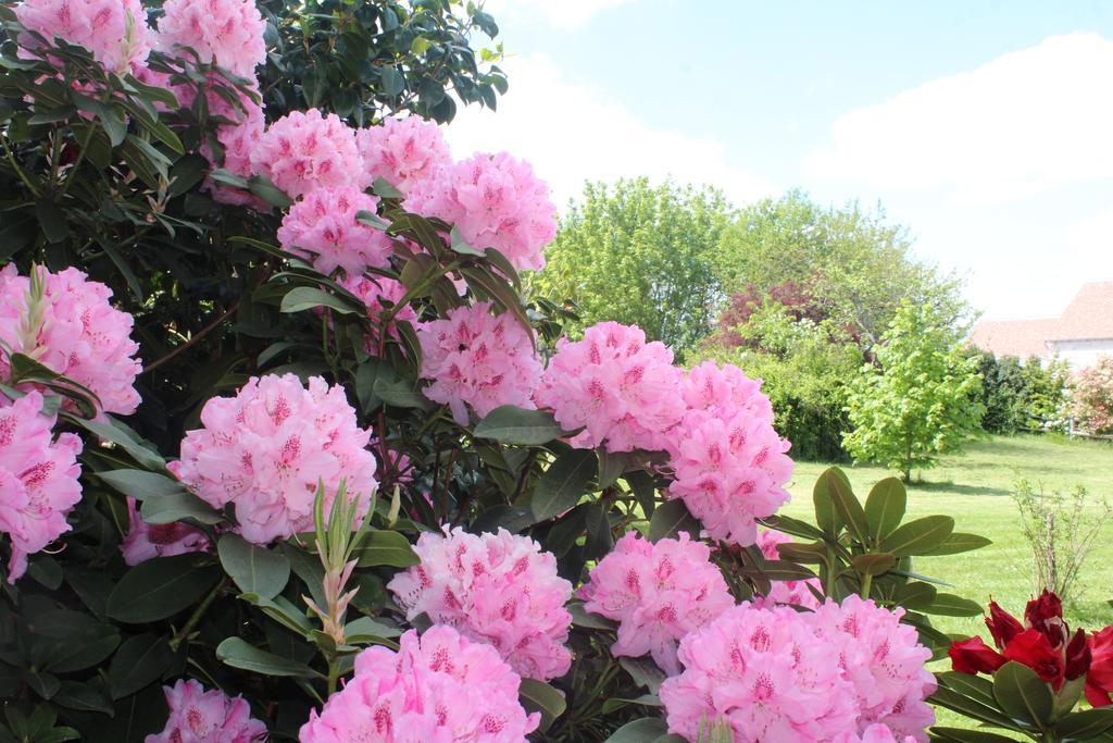 Le Clos Des Roses Saint-Règle Zewnętrze zdjęcie